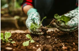 zapisyna zasainezebraneMOP